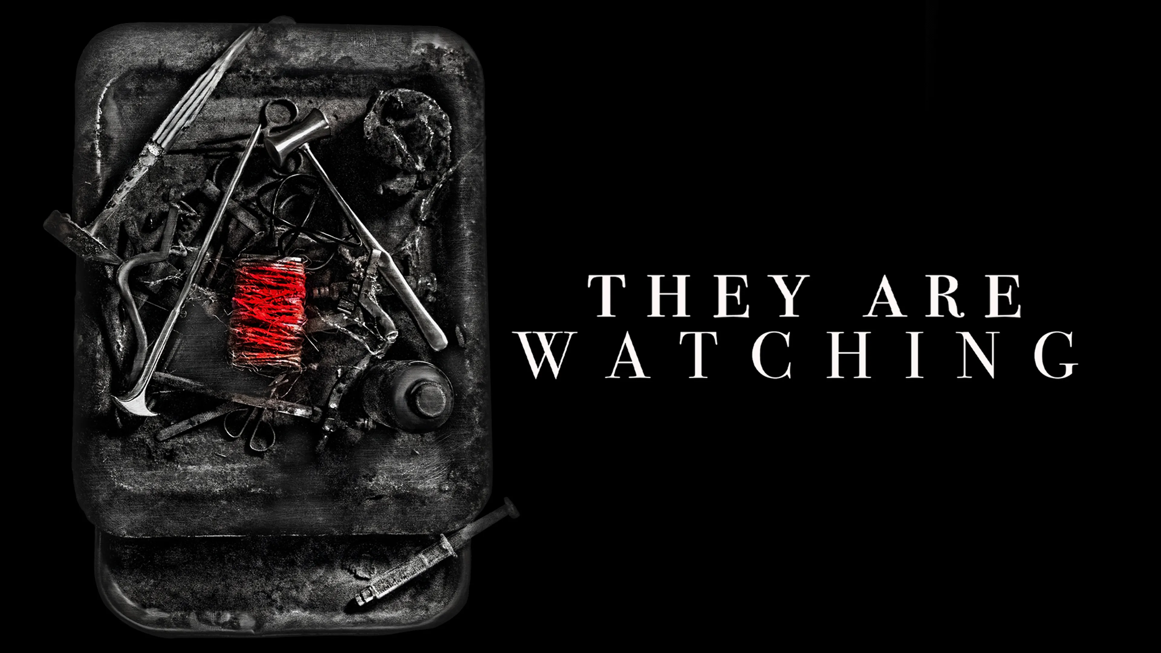 They Are Watching poster